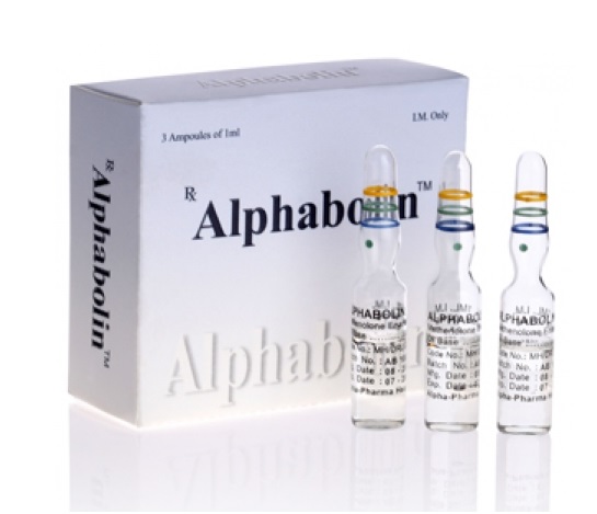 Buy Alphabolin Methenolone Enanthate 100 mg , price,where to buy Alphabolin Methenolone Enanthate 100mg vendor,for sale,