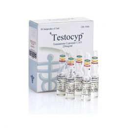 Testocyp Testosterone Cypionate 250mg